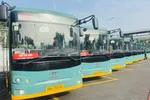 TPHCM: Đưa vào hoạt động 17 tuyến xe buýt điện kết nối metro số 1