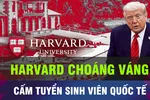 18 GIỜ HÔM NAY: Đại học Harvard sốc vì bị cấm tuyển sinh viên quốc tế
