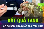 18 GIỜ HÔM NAY: Bắt quả tang cơ sở bơm tạp chất vào tôm hùm
