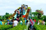 Du khách háo hức check in, chụp ảnh tại làng hoa Sa Đéc (Đồng Tháp). Ảnh: QUỐC BÌNH