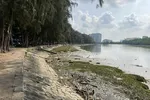TPHCM phê duyệt dự án nạo vét, chỉnh trang rạch Bà Lớn