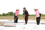 Khách du lịch trải nghiệm nghề làm muối truyền thống trên ấp đảo Thiềng Liềng (xã Thạnh An)
