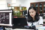 Xu hướng xây dựng "doanh nghiệp một người" trong lĩnh vực thương mại điện tử đang phát triển. Ảnh: VIẾT CHUNG