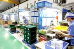 Chính sách hỗ trợ doanh nghiệp tư nhân chưa như kỳ vọng
