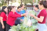 Bán rau sạch gây quỹ thiện nguyện