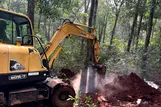 Lực lượng chức năng xã Xuân Sơn tiến hành tiêu hủy đàn heo bị nhiễm bệnh. Ảnh: Q.V