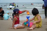 Dằm tre trong cát