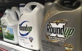 法國國家食品環境及勞動安全管理局(Anses)宣佈將36種含草甘膦(Glyphosate)的除草劑下架。(示意圖源:互聯網)