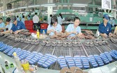 我國鞋業是在《跨太平洋全面進展協定》中受益最多的領域之一。