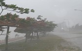 市防範天災與救援指委會:若超強颱風(10至13級)登陸本市的防範和應對方案顯示,預計本市24個郡、縣將有50萬7514人必須疏散到安全及堅固的地點。(示意圖源:互聯網)