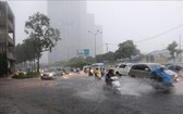 昨(24)日中午11時30分開始大面積的強降雨並持續4個小時,導致本市多條街道和低窪地區被水淹。(圖源:越通社)