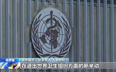(圖源:互聯網)