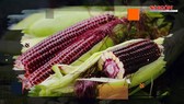 30.000 đồng một trái bắp đỏ có thể ăn sống, bạn đã thử chưa?