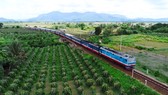 Từ 22-10 đến 30-11, Công ty đường sắt Sài Gòn giảm 50% giá vé tàu