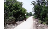 Vụ nhận tài trợ 500 tấn xi măng, giao doanh nghiệp làm đường rồi “quên”: Đã thu hồi được 50%