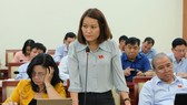 Đại biểu HĐND TPHCM phát biểu trong phiên thảo luận tổ tại Kỳ họp thứ 17 HĐND TPHCM khóa IX. Ảnh: VIỆT DŨNG