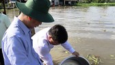 Breeding shrimp, fish released into river to protect living aquatic resources