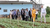 ueen Maxima of the Netherlands visits a farming model in Lam Dong province (Source: saigongiaiphong.vn)