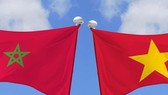 NA Vice Chairman Phung Quoc Hien visits Morocco