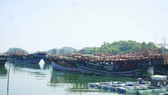 Quảng Ngãi: Ngư dân rơi xuống biển mất tích