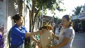 Mang rau về bằng túi giấy. Ảnh: NGUYỄN TRANG