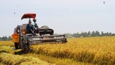 Cơ giới hóa nông nghiệp, nâng cao giá trị sản phẩm