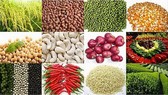 我國農產品加工工業在規模和附加值方面都蓬勃增長,每年達5% 至7%。(示意圖源:互聯網)
