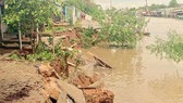 An Giang ban bố tình trạng khẩn cấp sạt lở tại rạch Cái Sắn