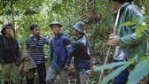 Vụ án “ăn chặn kỳ nam” tại Khánh Hòa và nạn phá rừng lên phim