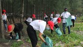 Các tình nguyện viên nhặt rác tại rừng dương ven biển