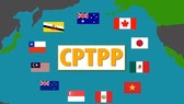 Việt Nam chính thức tham gia CPTPP từ hôm nay 12-11