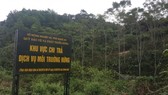 Chuyển gần 2.300 tỷ đồng vào tài khoản của 54.167 chủ rừng