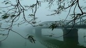 Sắp mưa liên tục nhiều ngày từ Hà Tĩnh trở vào