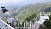 Cưỡng chế, tháo dỡ các công trình vi phạm trên khu vực đèo Đại Ninh