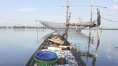 Ngư dân trúng mẻ cá mòi lớn