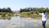 Thời điểm dự án nuôi tôm xả thải bẩn trực tiếp ra môi trường gây ô nhiễm