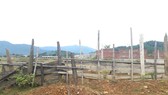 Nhếch nhác tại Khu công nghiệp Đại Kim