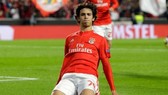 Joao Felix là tiền đạo được đánh giá cao nhất về tiềm năng phát triển. Ảnh: Getty Images