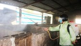 Phun hóa chất khử trùng chuồng trại nuôi heo tại Quảng Trị