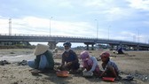 Đào phễnh góp phần cải thiện cuộc sống cho những người lao động nghèo. Ảnh: BAOBINHDINH. VN