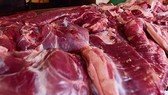 Điều tra việc cấp phép cho lô thịt heo nhiễm virus dịch tả heo châu Phi