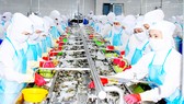 Chế biến tôm xuất khẩu ở ĐBSCL