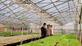 Agribank – Vì tương lai xanh