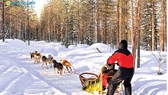 “Rộn ràng Tết Hợi” với nhiều hành trình mới, ưu đãi hấp dẫn