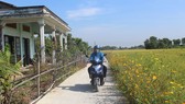 Nông thôn Long An đổi mới nhờ chương trình giảm nghèo