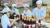 Sản xuất nước mắm Liên Thành. Ảnh: THÀNH TRÍ