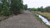 Đề nghị điều tra vụ chuyển hơn 7.000m² đất công thành đất tư
