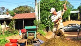 Mùa cà phê kém vui