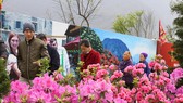 Chỉ còn 20 ngày khám phá Fansipan với 200 nghìn đồng