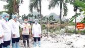 Ngăn chặn hiểm họa dịch tả heo châu Phi